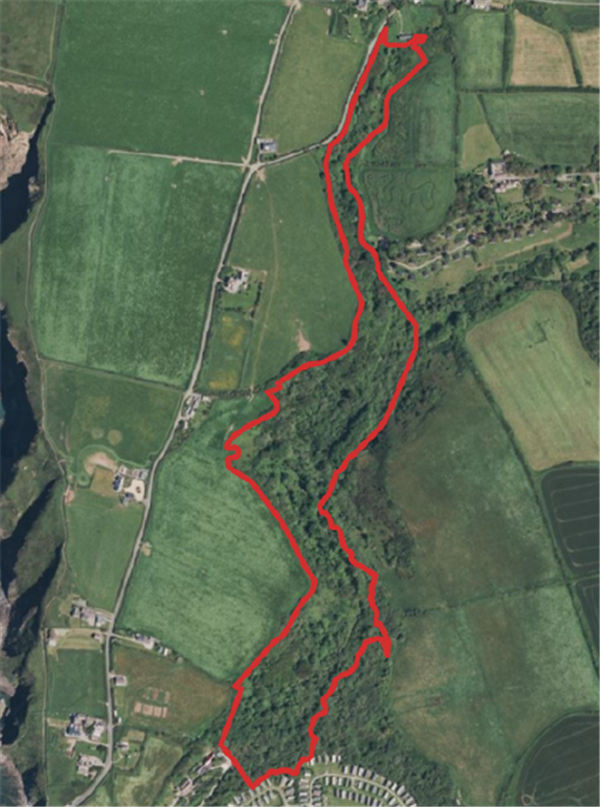 28.37 acres, Haroldston Woods, Broad Haven, West Wales UKLAF