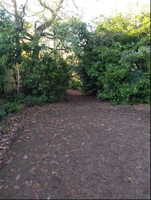 3 acres, Springwood, East Sussex UKLandandFarms.co.uk