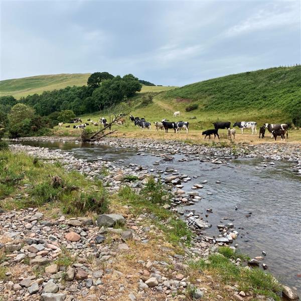 548 acres, Wooler, Northumberland, NE71 6XF UKLandandFarms.co.uk