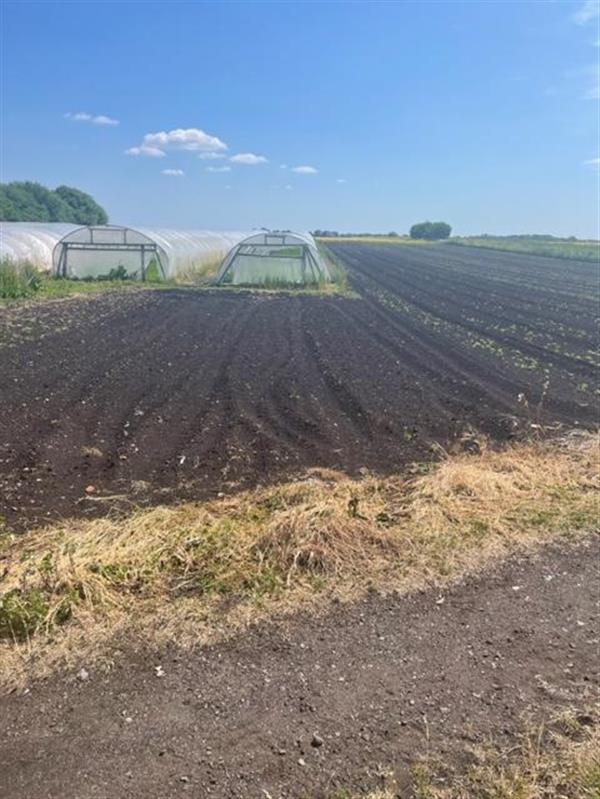 42 acres, Glazebury, Warrington, Greater Manchester, WA3 5PT UKLAF