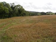Image of property