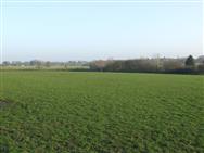 Image of property