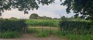 Image of property