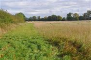 Image of property