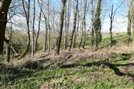 Image of property