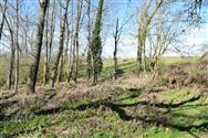 Image of property