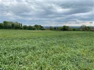 Image of property