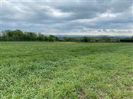 Image of property