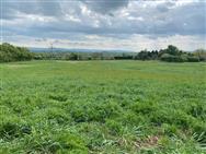 Image of property