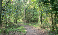 Image of property