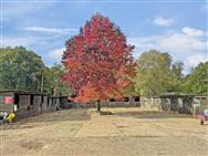 Image of property