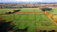 Image of property