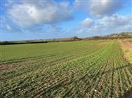 Click to view more details