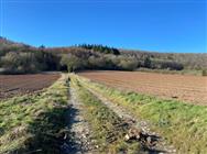 Image of property