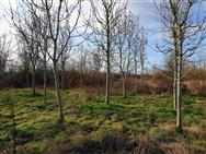 Image of property
