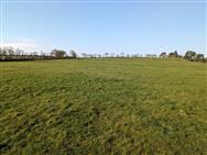 Click to view more details