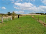 Image of property