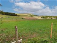 Image of property