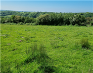 Image of property
