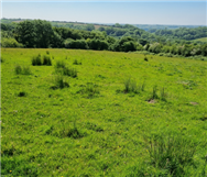 Image of property