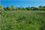 Image of property