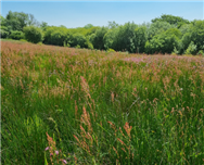 Image of property