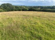 Image of property