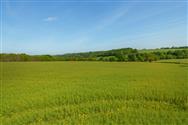 Image of property