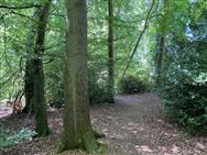 Image of property