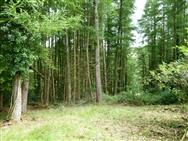 Image of property