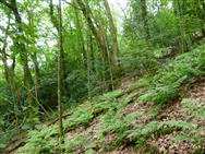Image of property