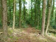 Image of property
