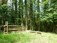 Image of property