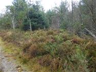 Image of property