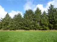 Image of property