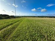 Image of property