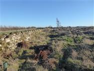 Image of property
