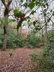 Image of property