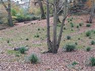 Image of property
