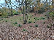 Image of property