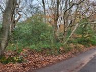 Image of property
