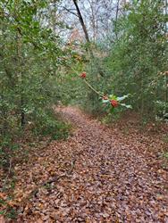 Image of property