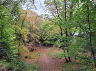 Image of property