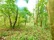 Image of property