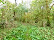 Image of property