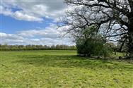 Image of property