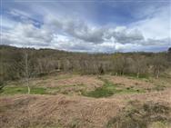 Image of property