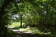 Image of property