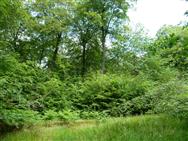 Image of property