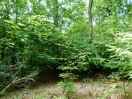 Image of property